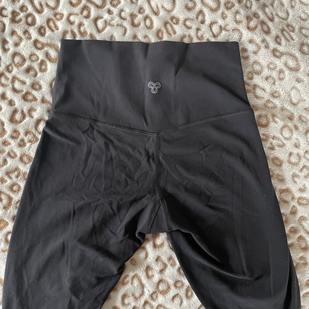 TnAction Aritzia Leggings 24 inch inseam